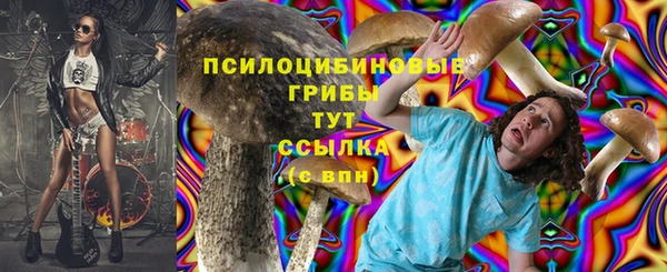 mdma Зеленокумск