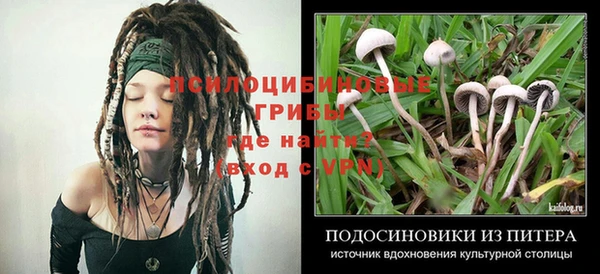 меф Заводоуковск