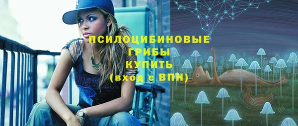 apvp Заволжск